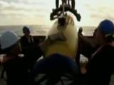 “藍鰭金槍魚”首次深海搜索暫無重大發現