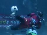 韩国：水中足球表演