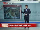 温州一市民贩卖死老虎获刑10年