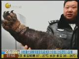中国最大跨境熊掌走私案判决 2中国人2俄罗斯人获刑