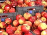 波蘭要求美國買蘋果