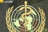 世卫组织报告：埃博拉疫情死亡人数超4000人