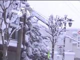 日本北部及西部地区连降大雪